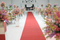 /album/galeria-de-fotos-/a580360-366435646790853-22254067-n-jpg/