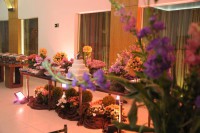 /album/galeria-de-fotos-/a954605-366435286790889-650967251-n-jpg/