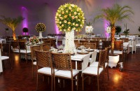 /album/galeria-de-fotos-/a1001623-376150505819367-708274601-n-jpg/