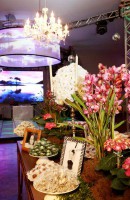 /album/galeria-de-fotos-/a1013405-376150465819371-1595926051-n-jpg/